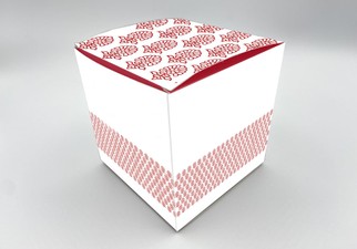 Caja estándar cuadrada